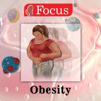 Understanding Obesity